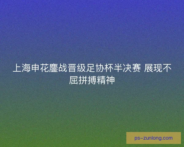 上海申花鏖战晋级足协杯半决赛 展现不屈拼搏精神